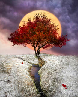 2nd Place - Digital Art "Scarlet Winter" Debra Vanderlaan