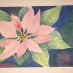 IMG_1593 (2)