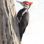 Watercolor in Drybrush: Wildlife and Nature’s Elements with instructor Alan R. Young - The Art Center in Blue Ridge, GA