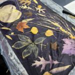 Botanical Printing with Instructor Suzanne Connors at The Art Center in Blue Ridge, GA