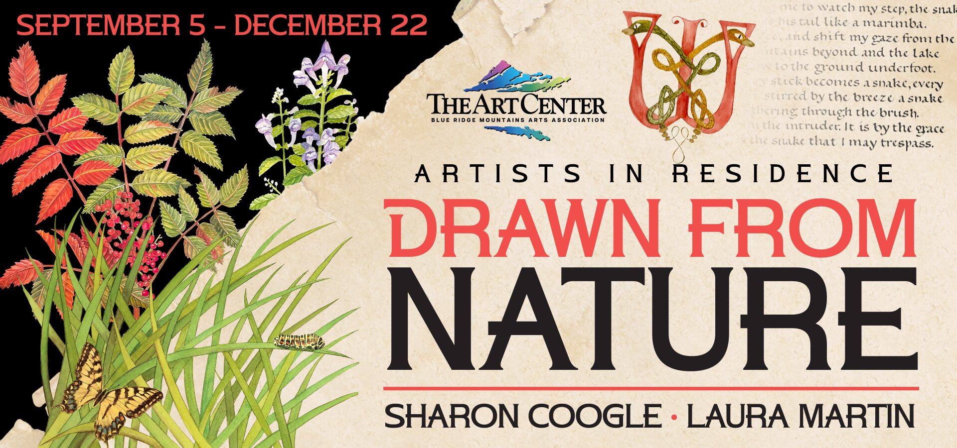 Drawn from Nature - The Art of Sharon Coogle and Laura Martin at The Art Center in Blue Ridge, GA