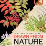 Drawn from Nature - The Art of Sharon Coogle and Laura Martin at The Art Center in Blue Ridge, GA